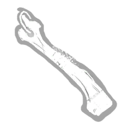 Bone Clapper