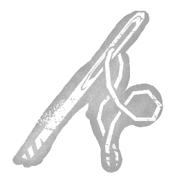 Needle & Thread